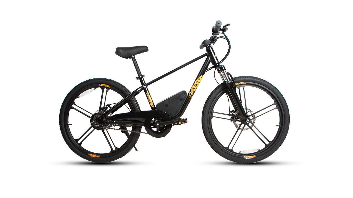 EUNORAU EKIDS-24 – Youth Electric Bike for Young Adventurers