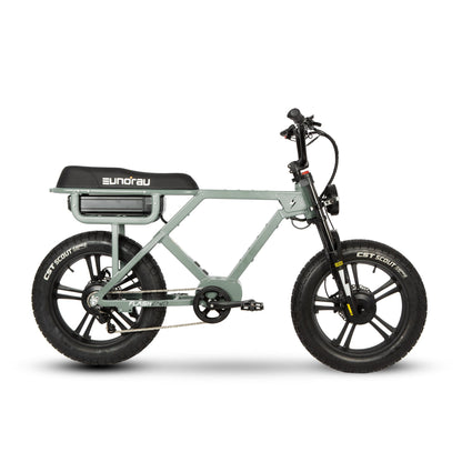 EUNORAU Flash – High-Performance Electric Bike