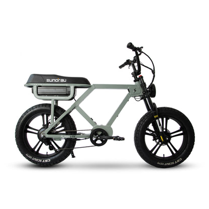 EUNORAU Flash – High-Performance Electric Bike