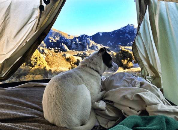 Load image into Gallery viewer, Packasport Trailblazer Rooftop Cargo Box
