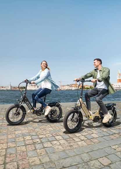 ENGWE L20 3.0 Full Suspension Anti-Theft 720Wh Long-Range Utility E-Bike
